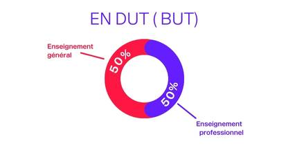 Répartition des enseignements en DUT