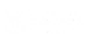 logo-richmond-american-university