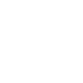 logo pristini 