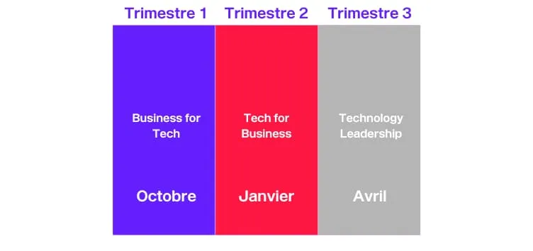 schema_-_tech_mba-v2