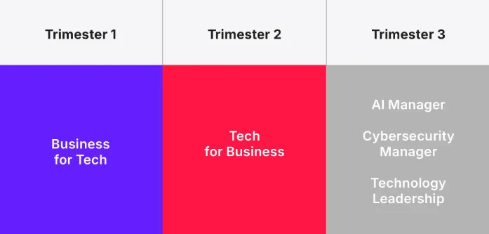 Tech MBA's program