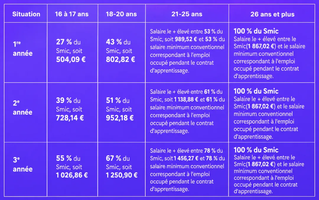 Grille salariale alternance