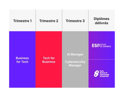 techmnba_program